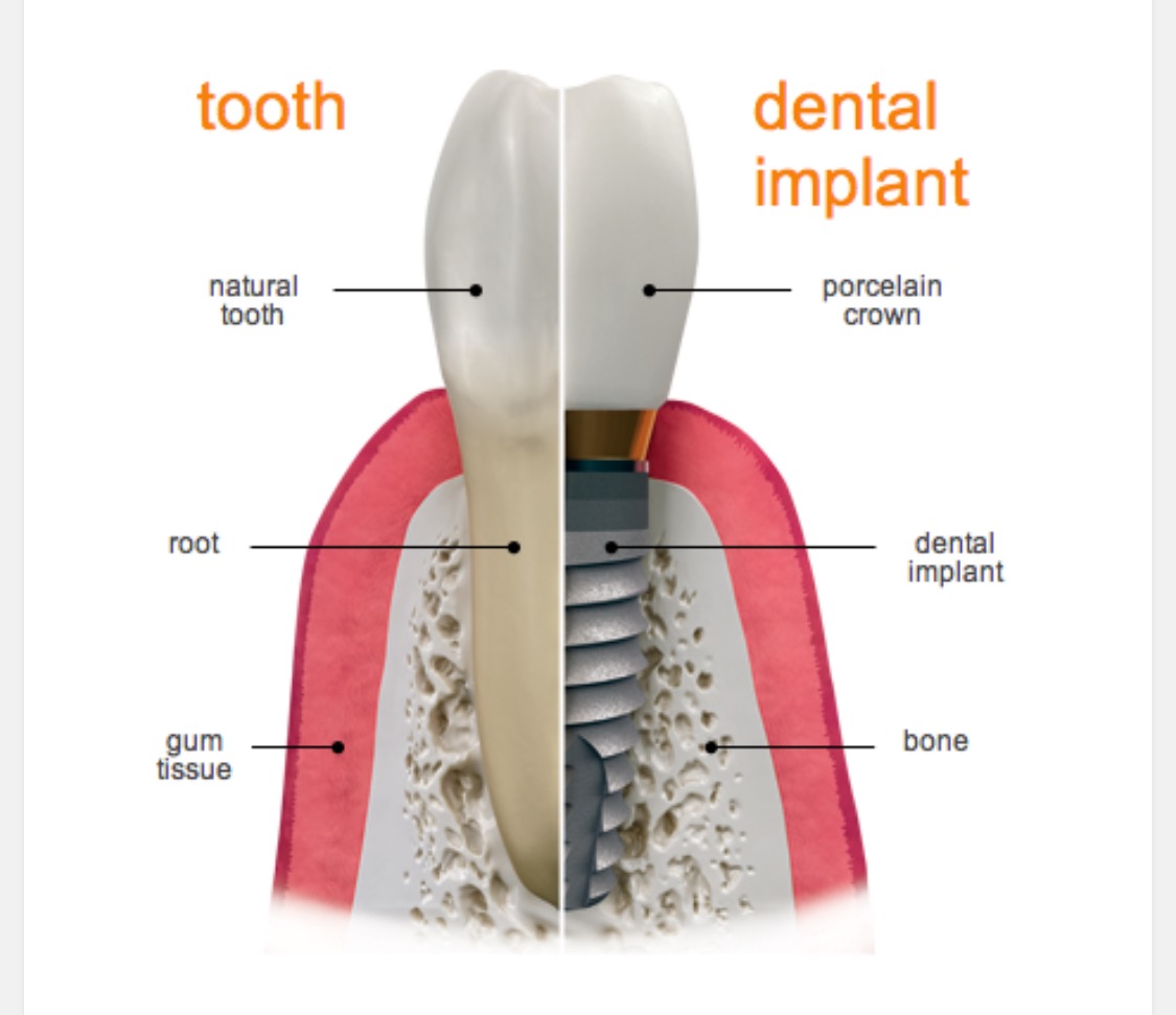 Dental Care South